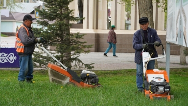 Таразда  ағаштар егіліп, саябақ аумағы абаттандырылды