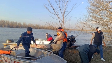 БҚО-да жағдай күрделі:  су басқан аймаққа қосымша әскери күштер жұмылдырылды